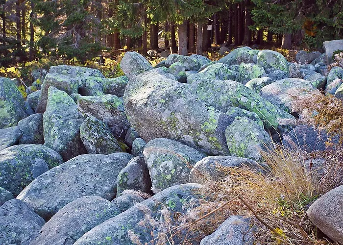 Szálloda Vitoshko Lale 3*