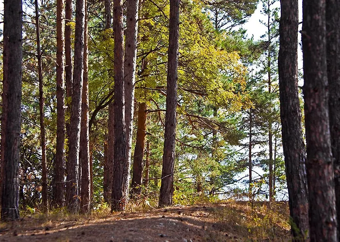 Vitoshko Lale Szálloda