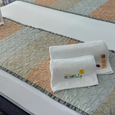 Hotel Vitoshko Lale Sofia