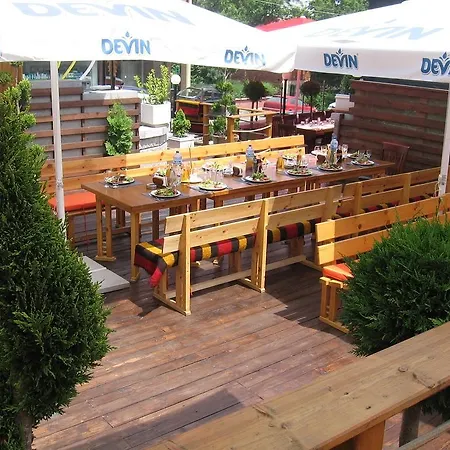 Отель Vitoshko Lale 3*