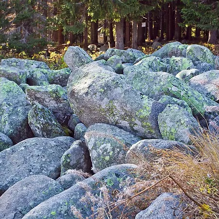 Hotel Vitoshko Lale 3*