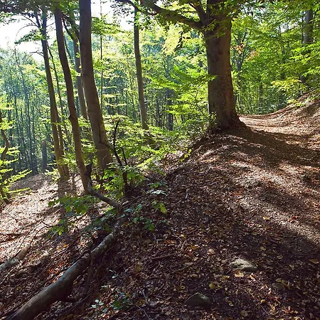 微多苏拉莱酒店