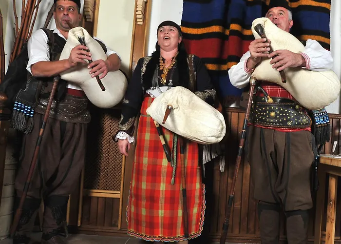 호텔 Vitoshko Lale 3*