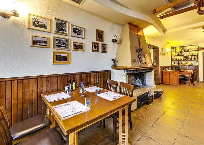 Vitoshko Lale 호텔 3*